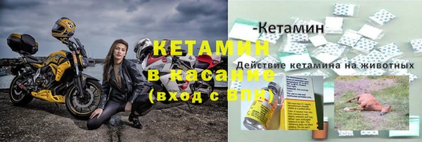 ПСИЛОЦИБИНОВЫЕ ГРИБЫ Пересвет