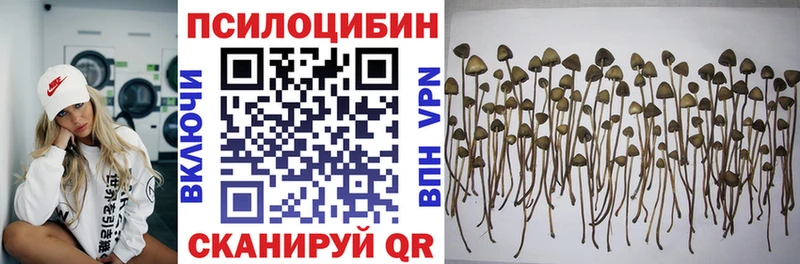 mega ссылки  купить   Кушва  Псилоцибиновые грибы мицелий 